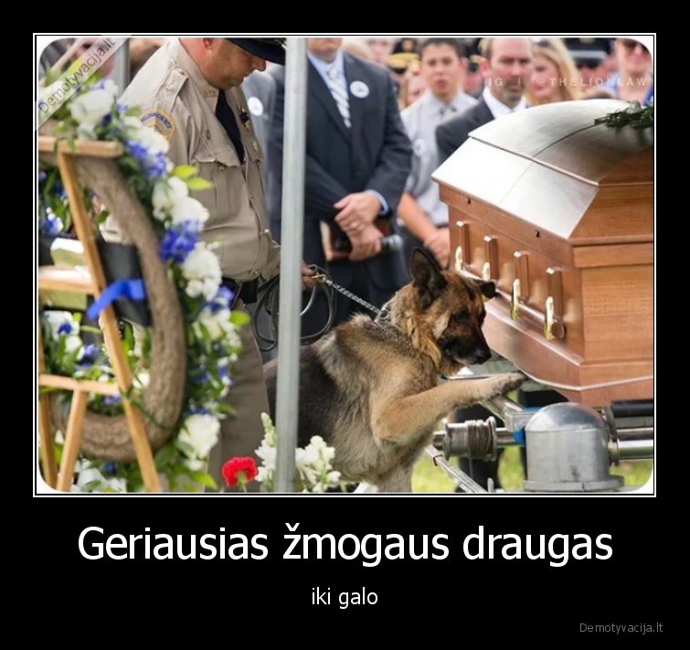 Geriausias žmogaus draugas - iki galo