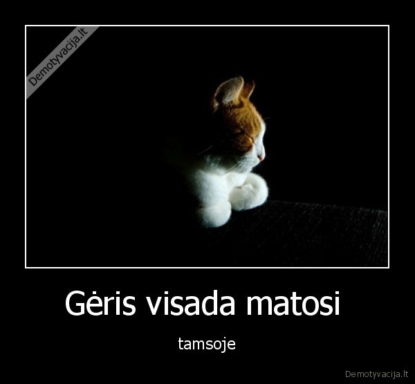 Gėris visada matosi  - tamsoje