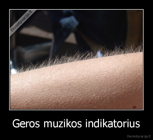 Geros muzikos indikatorius - 