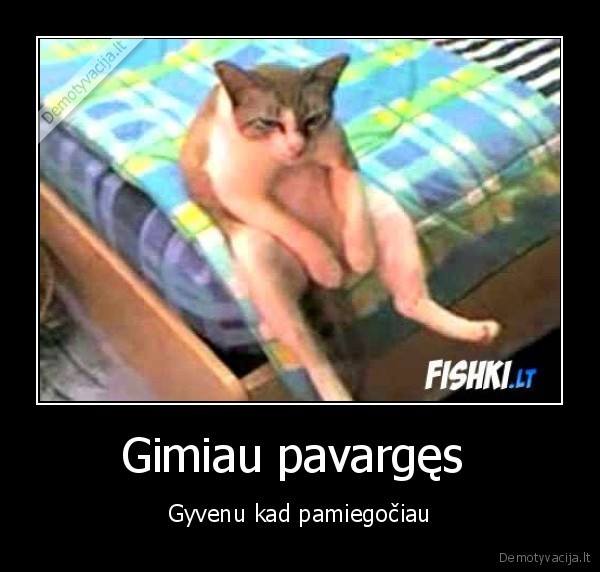 Gimiau pavargęs  - Gyvenu kad pamiegočiau