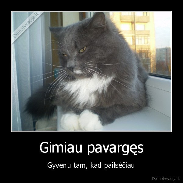 Gimiau pavargęs - Gyvenu tam, kad pailsėčiau