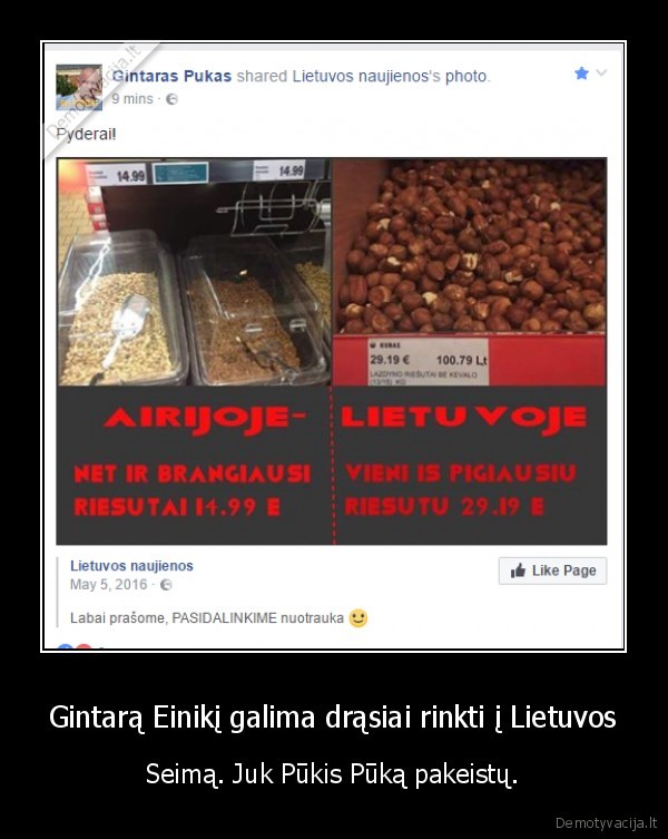 Gintarą Einikį galima drąsiai rinkti į Lietuvos - Seimą. Juk Pūkis Pūką pakeistų.