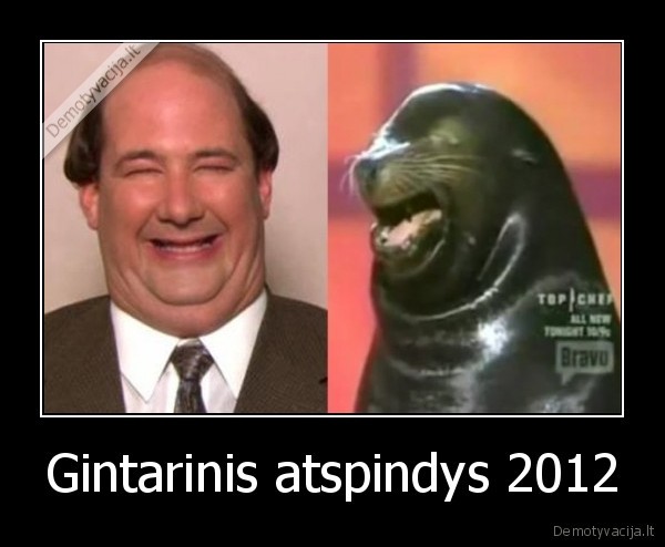 Gintarinis atspindys 2012 - 