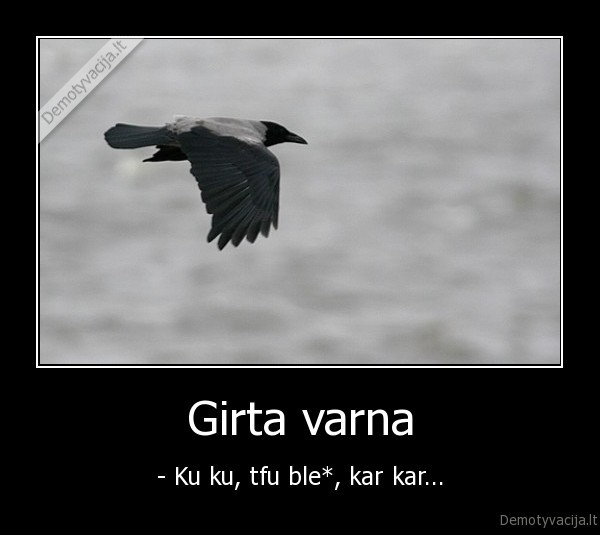 Girta varna - - Ku ku, tfu ble*, kar kar...