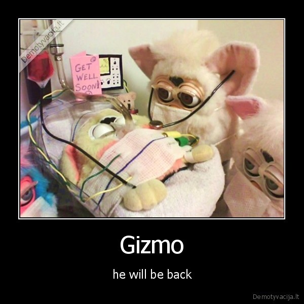 Gizmo - he will be back