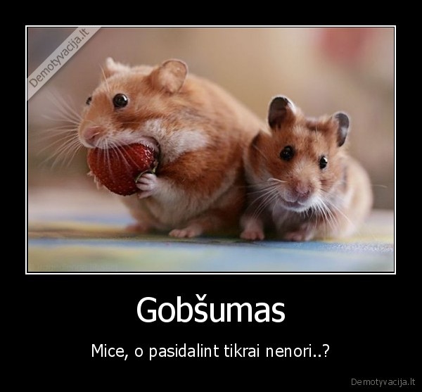 Gobšumas - Mice, o pasidalint tikrai nenori..?