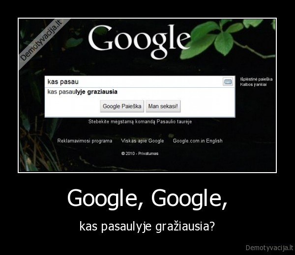 Google, Google, - kas pasaulyje gražiausia?