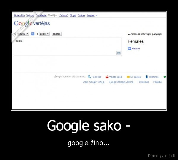 Google sako - - google žino...