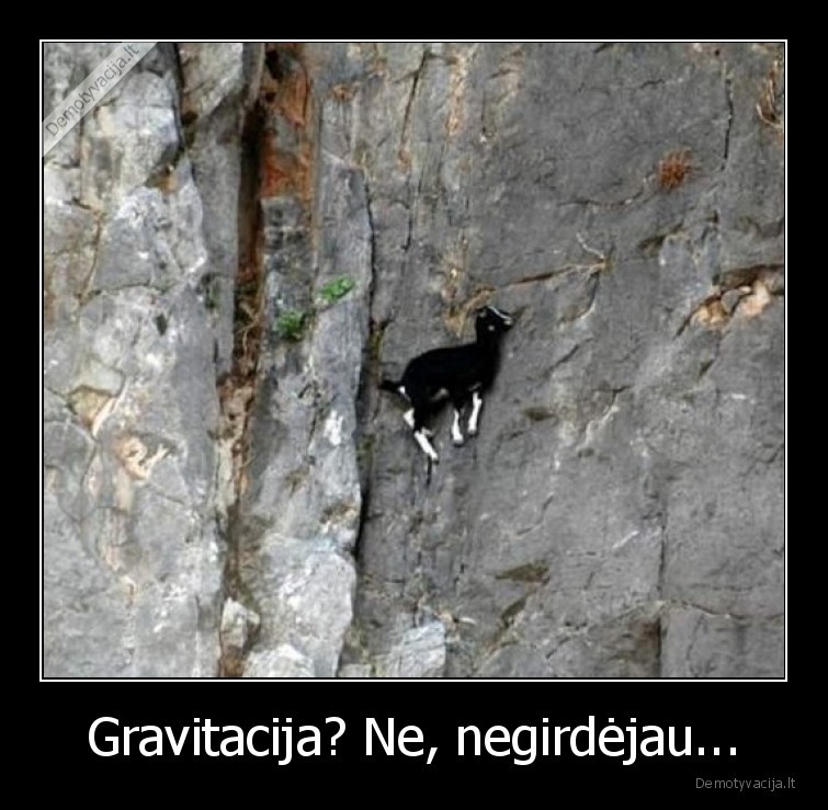 Gravitacija? Ne, negirdėjau... - 