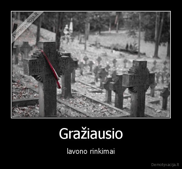 Gražiausio - lavono rinkimai