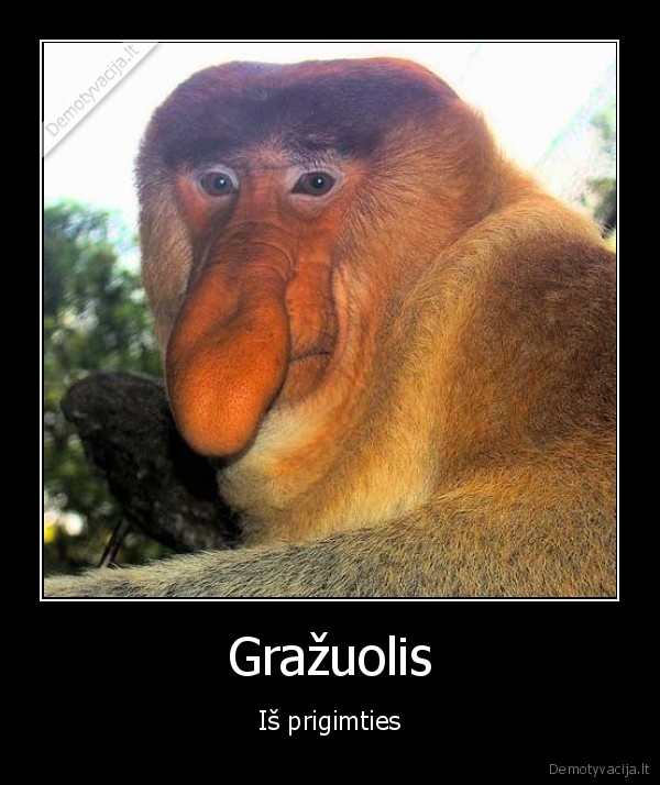 Gražuolis - Iš prigimties