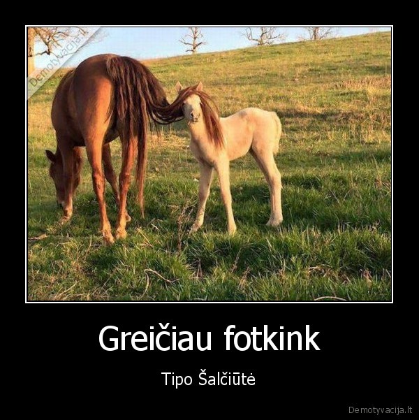 Greičiau fotkink - Tipo Šalčiūtė