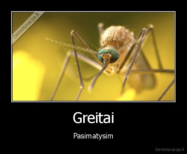 Greitai - Pasimatysim