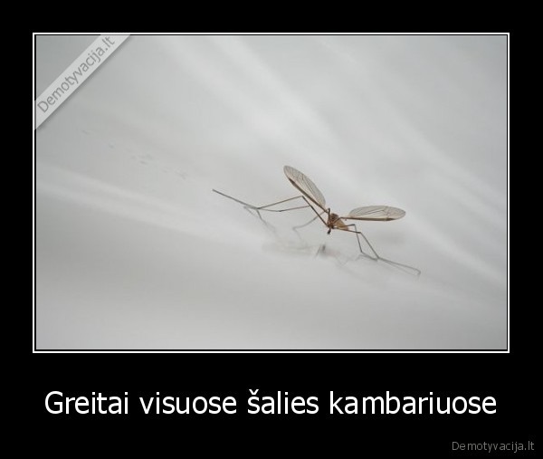 Greitai visuose šalies kambariuose - 