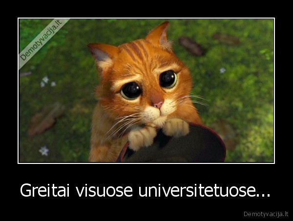 Greitai visuose universitetuose... - 