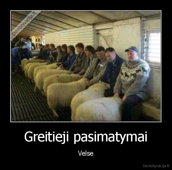 Greitieji pasimatymai - Velse