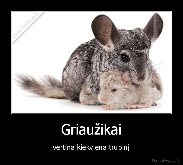 Griaužikai - vertina kiekviena trupinį