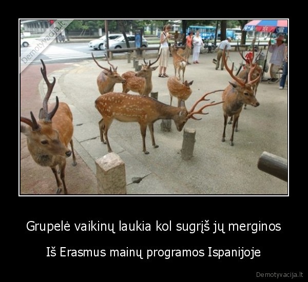 Grupelė vaikinų laukia kol sugrįš jų merginos - Iš Erasmus mainų programos Ispanijoje