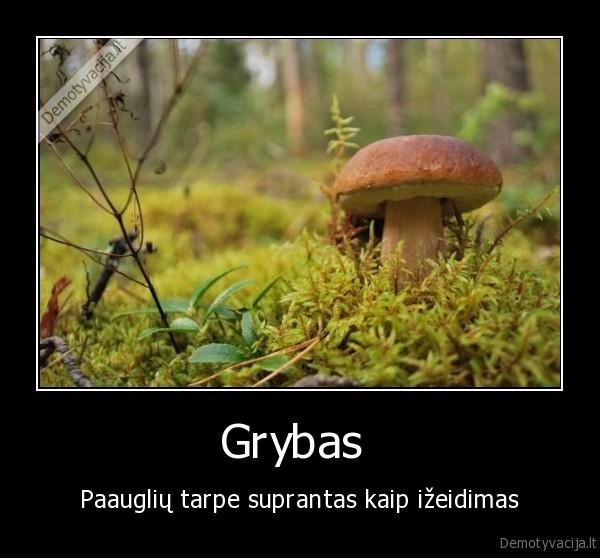 Grybas  - Paauglių tarpe suprantas kaip ižeidimas