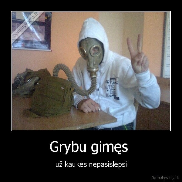 Grybu gimęs  - už kaukės nepasislėpsi