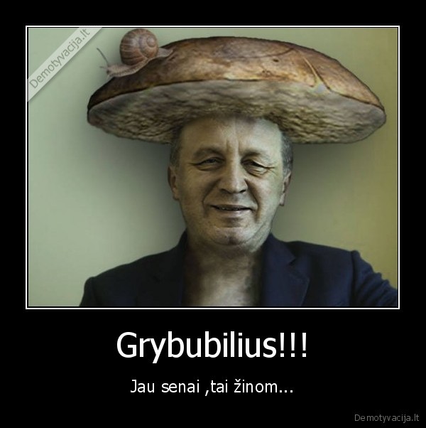 Grybubilius!!! - Jau senai ,tai žinom...