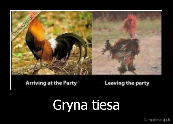 Gryna tiesa - 