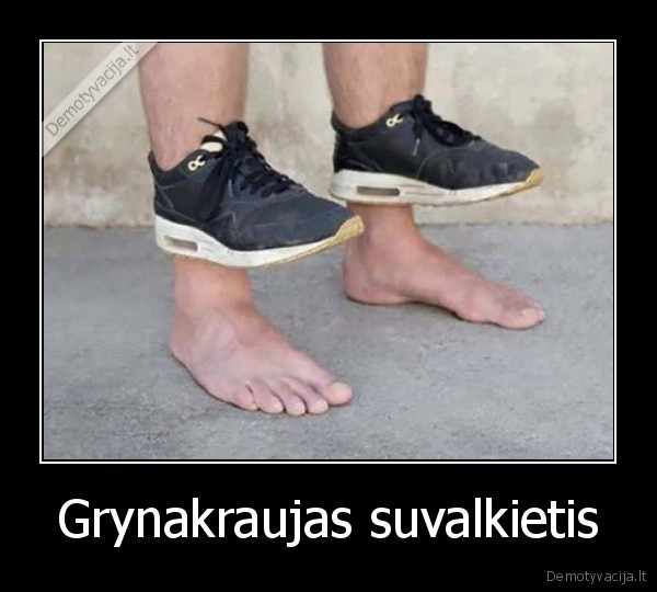 Grynakraujas suvalkietis - 