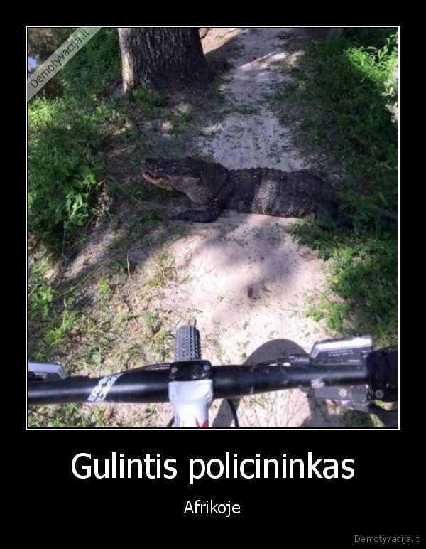 Gulintis policininkas - Afrikoje