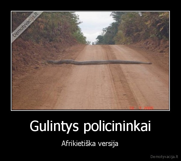 Gulintys policininkai - Afrikietiška versija