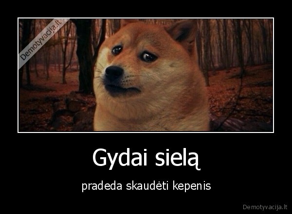 Gydai sielą - pradeda skaudėti kepenis