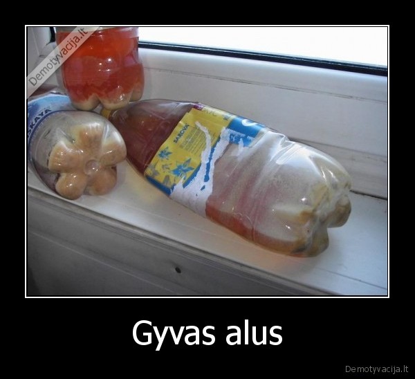 Gyvas alus - 