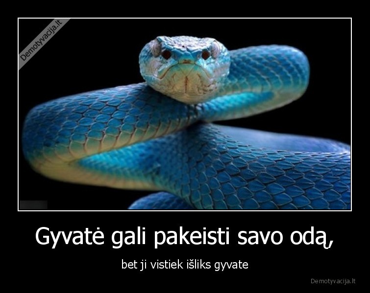 Gyvatė gali pakeisti savo odą, - bet ji vistiek išliks gyvate