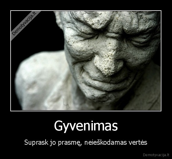 Gyvenimas - Suprask jo prasmę, neieškodamas vertės