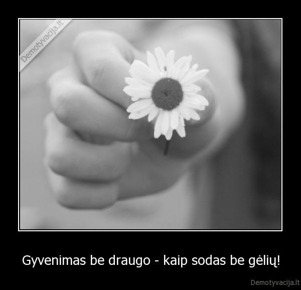 Gyvenimas be draugo - kaip sodas be gėlių! - 