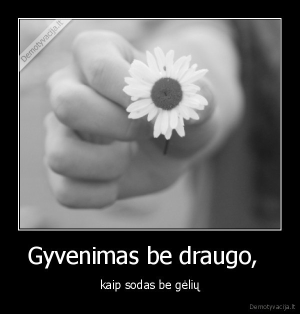 Gyvenimas be draugo,   - kaip sodas be gėlių
