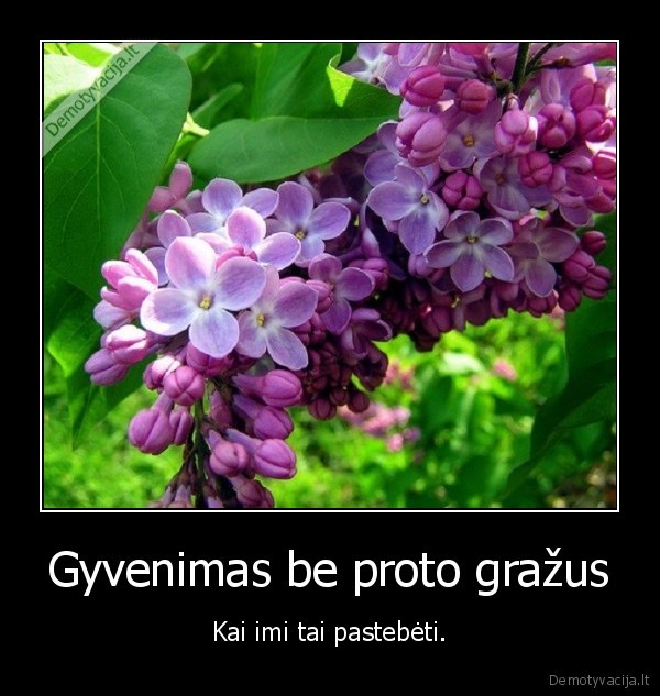 Gyvenimas be proto gražus - Kai imi tai pastebėti.