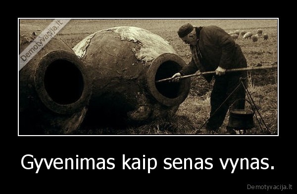 Gyvenimas kaip senas vynas. - 