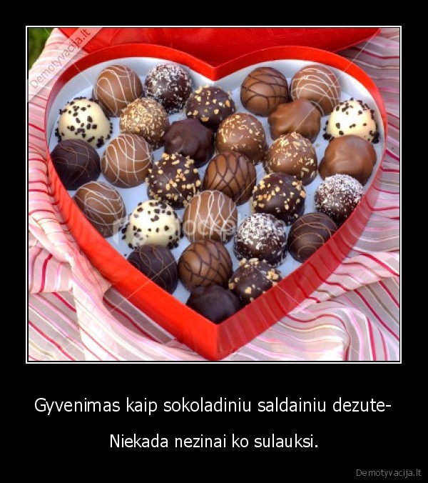Gyvenimas kaip sokoladiniu saldainiu dezute- - Niekada nezinai ko sulauksi.