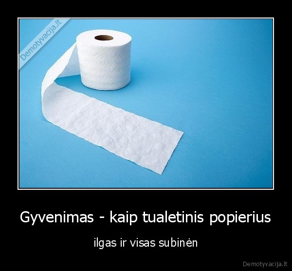 Gyvenimas - kaip tualetinis popierius - ilgas ir visas subinėn