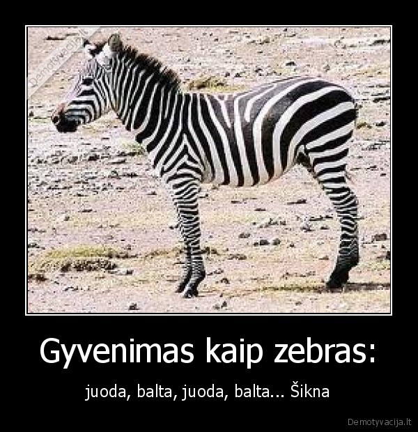 Gyvenimas kaip zebras: - juoda, balta, juoda, balta... Šikna