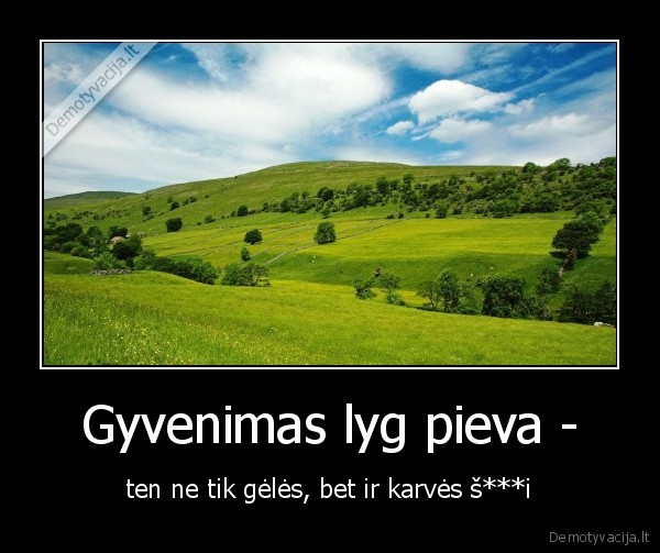 Gyvenimas lyg pieva - - ten ne tik gėlės, bet ir karvės š***i