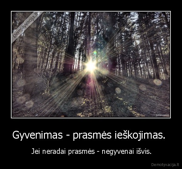 Gyvenimas - prasmės ieškojimas.  -  Jei neradai prasmės - negyvenai išvis.