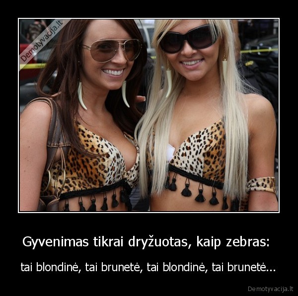 Gyvenimas tikrai dryžuotas, kaip zebras:  - tai blondinė, tai brunetė, tai blondinė, tai brunetė...