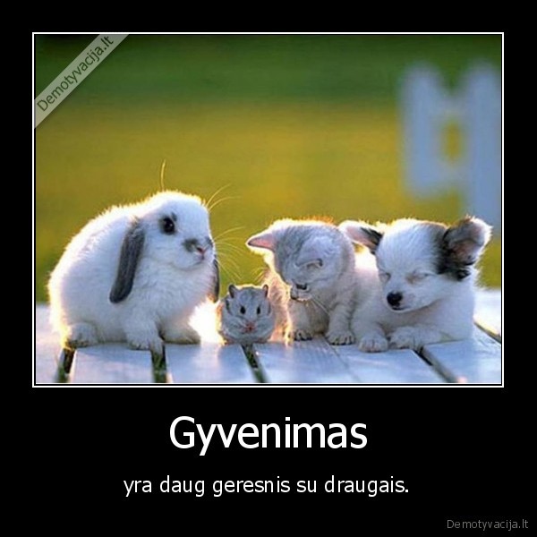 Gyvenimas - yra daug geresnis su draugais.