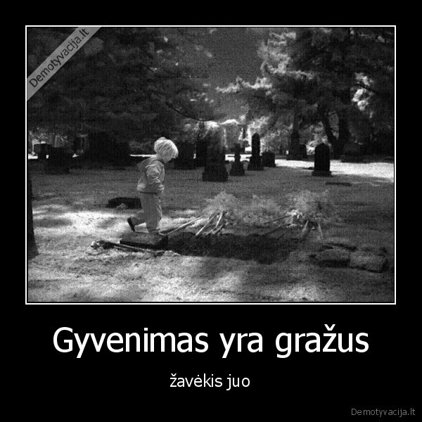 Gyvenimas yra gražus - žavėkis juo