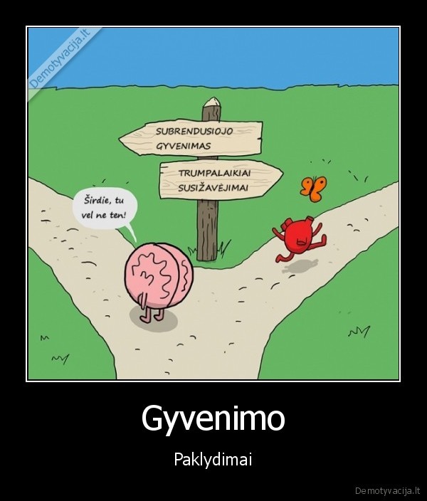 Gyvenimo - Paklydimai