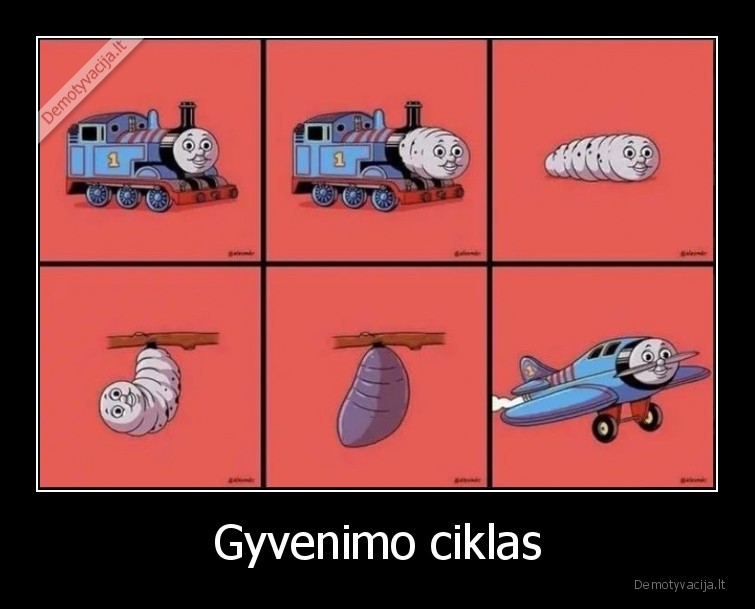 Gyvenimo ciklas - 