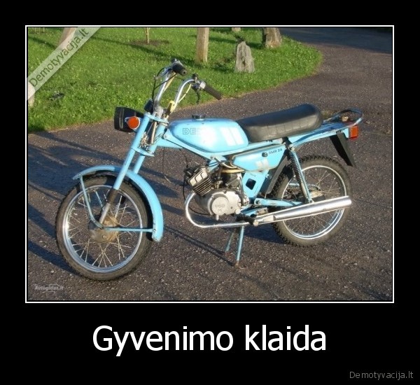 Gyvenimo klaida - 