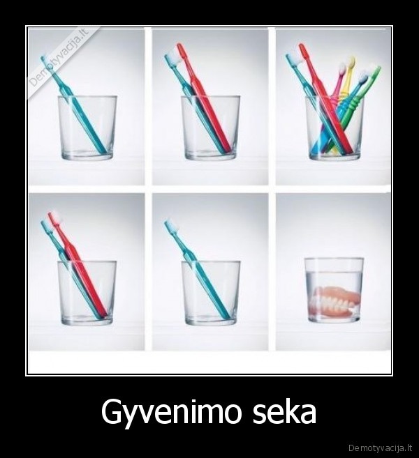 Gyvenimo seka - 