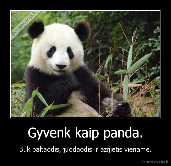 Gyvenk kaip panda. - Būk baltaodis, juodaodis ir azijietis viename.